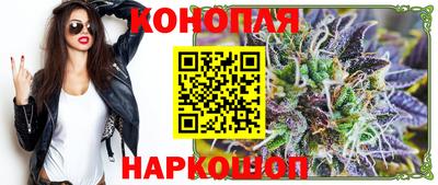 Альфа ПВП Аргун