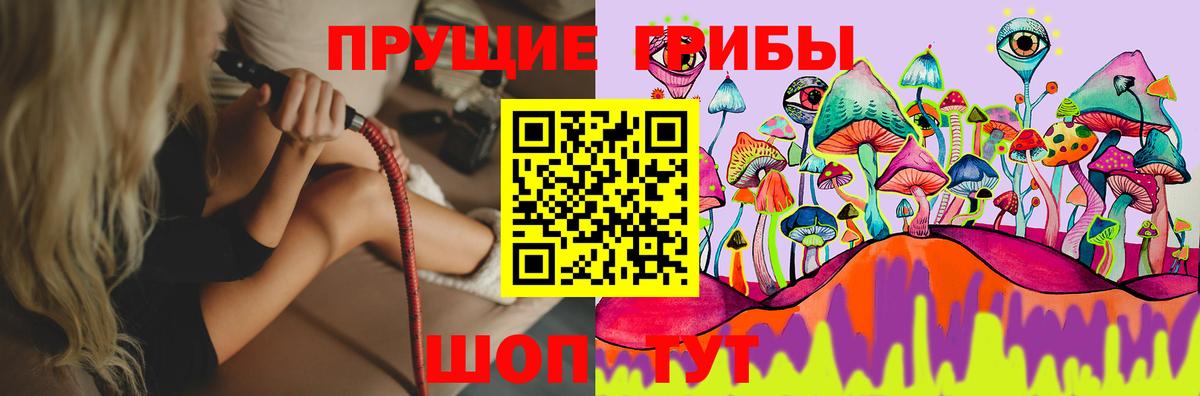 Вязники  Галлюциногенные грибы прущие грибы  Вход с VPN 